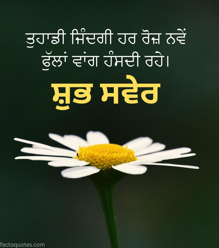 Shubh Savera images for Status