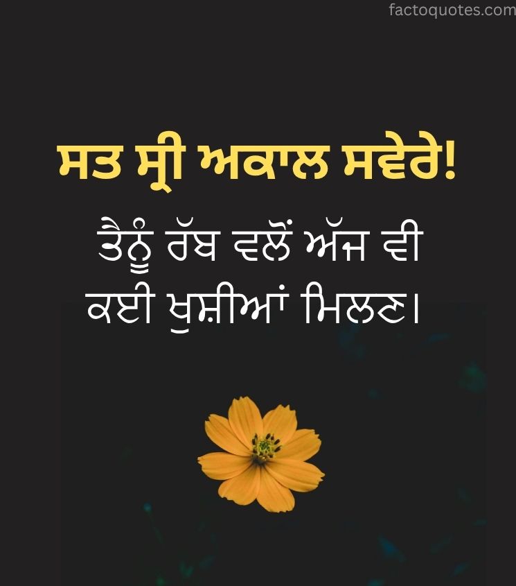Good Morning Punjabi Pics with Flowers
