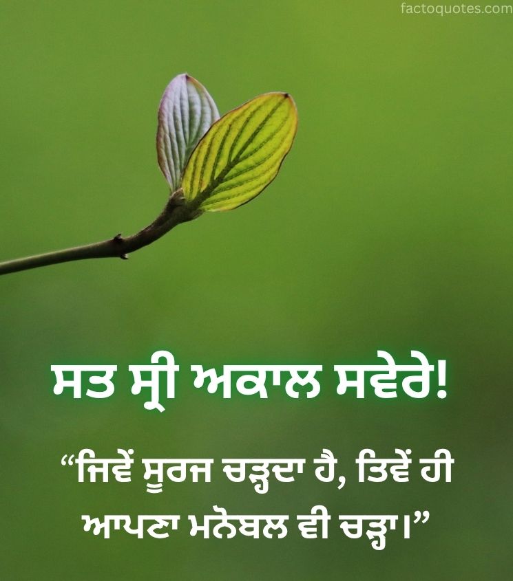 Good Morning Punjabi Quotes