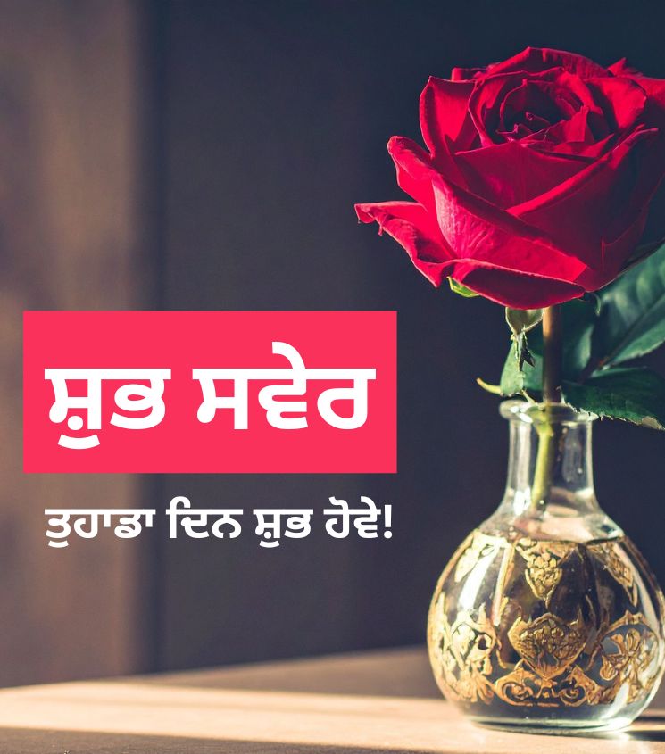 Good Morning Punjabi Rose Images