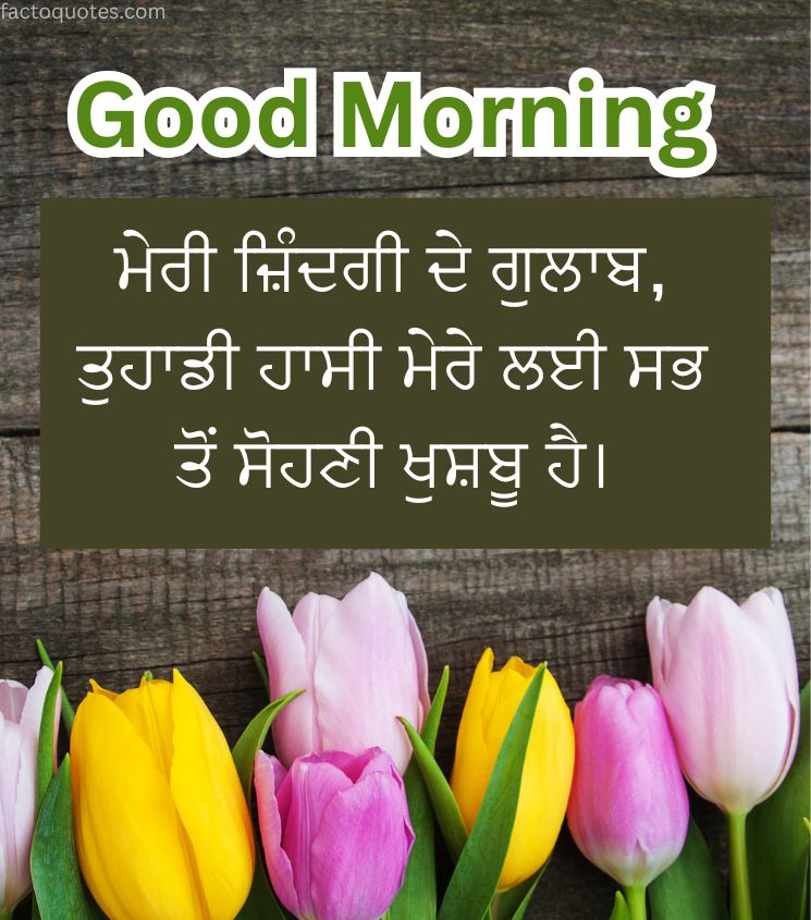Good Morning Wishes in Punjabi with Tulip Flower