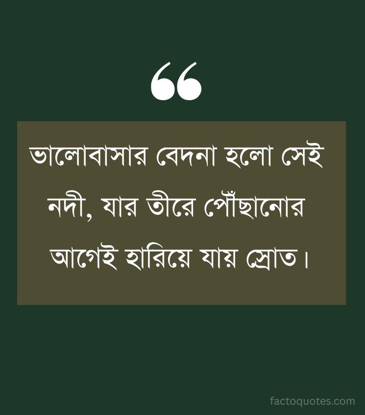 Bangla Sad Love Quotes