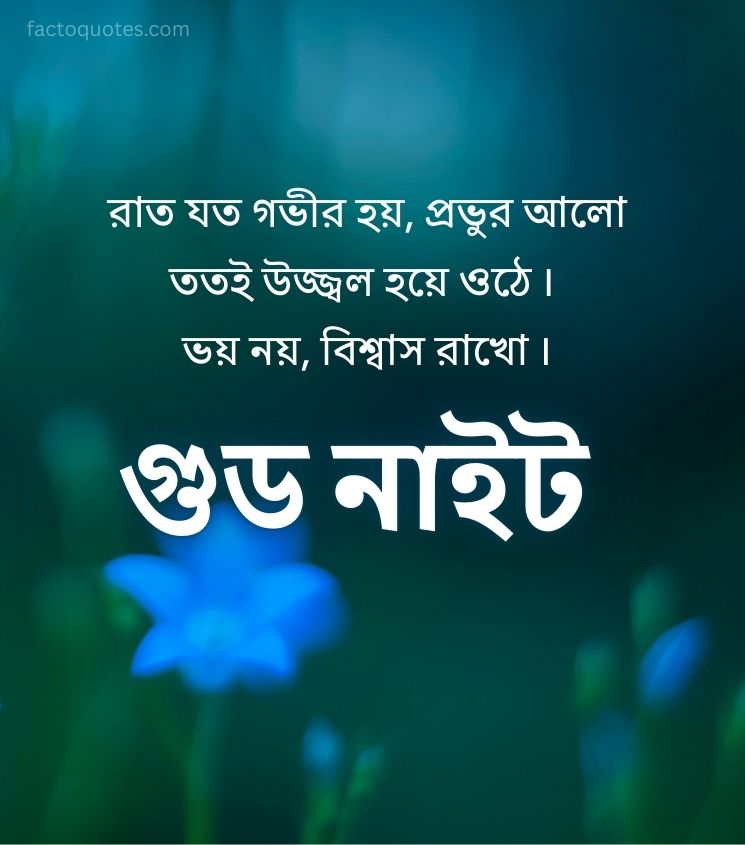 Good Night Bengali Quotes for Status