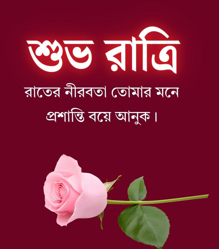 Shubh Ratri Images in Bengali with Rose