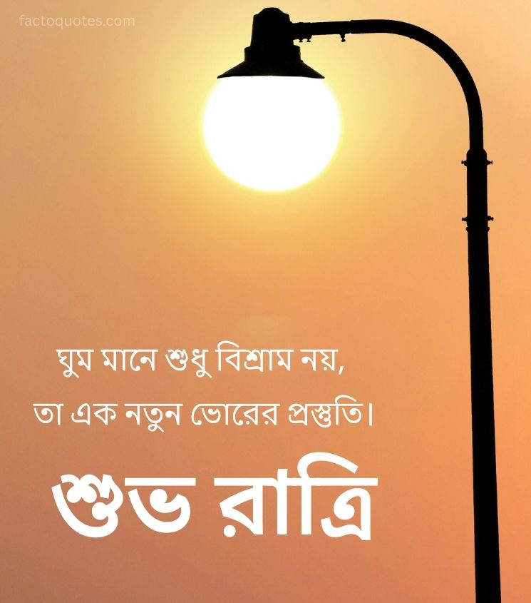 Bengali Good Night Quotes for Friends