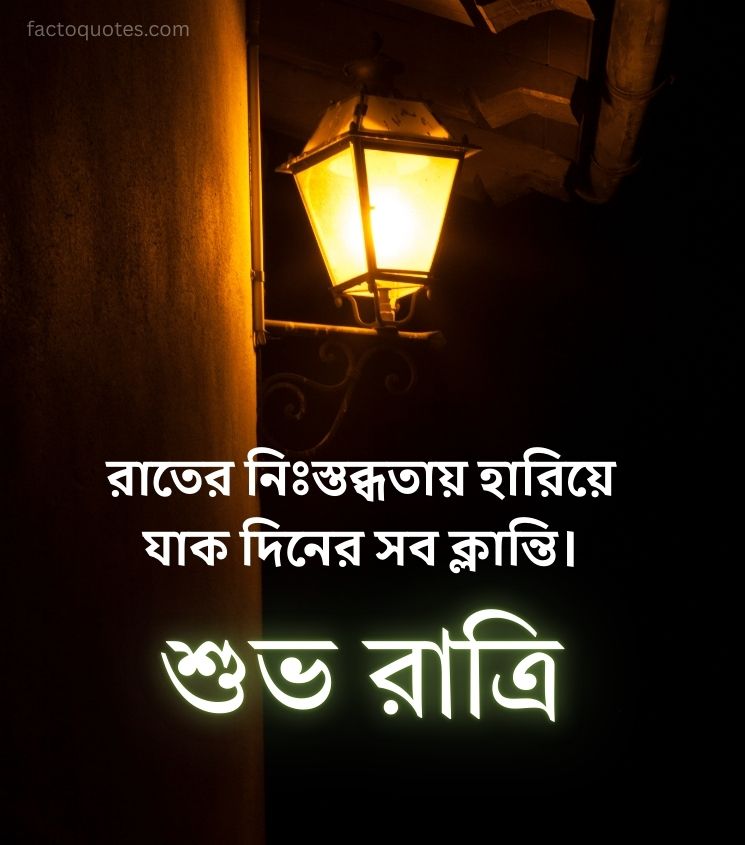 Bengali Good Night Pics for Message