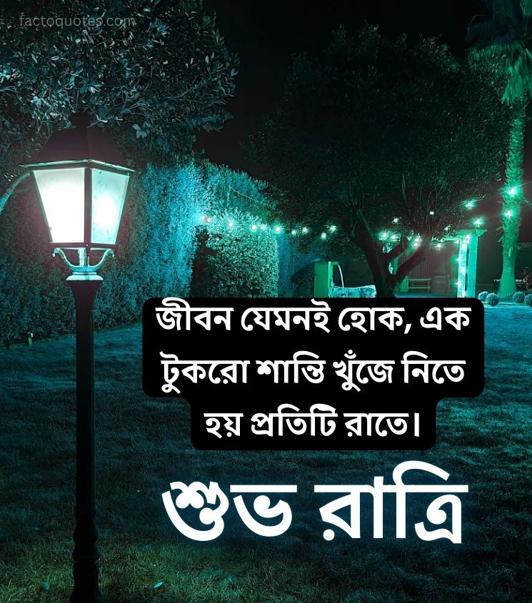 Good Night Images with life Quotes in Bengali