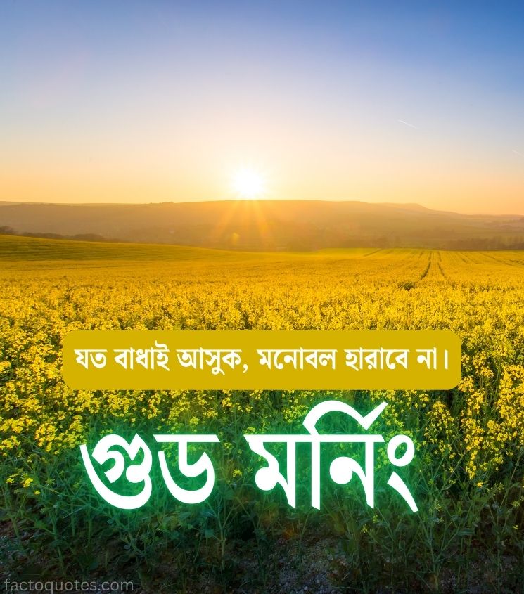 Good Morning Quotes Bangla for Status