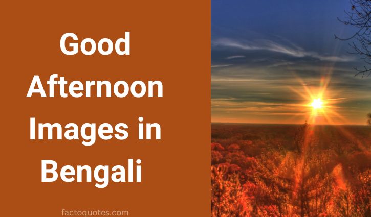Bengali Shuvo Dupur images