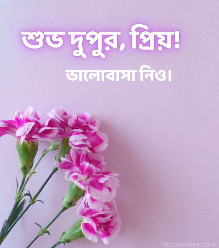 Bengali Shuvo Dupur Pics