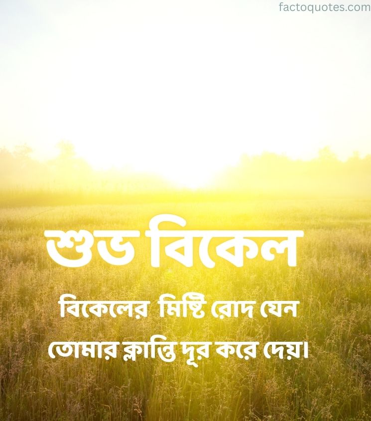 Good afternoon wishes bengali Images