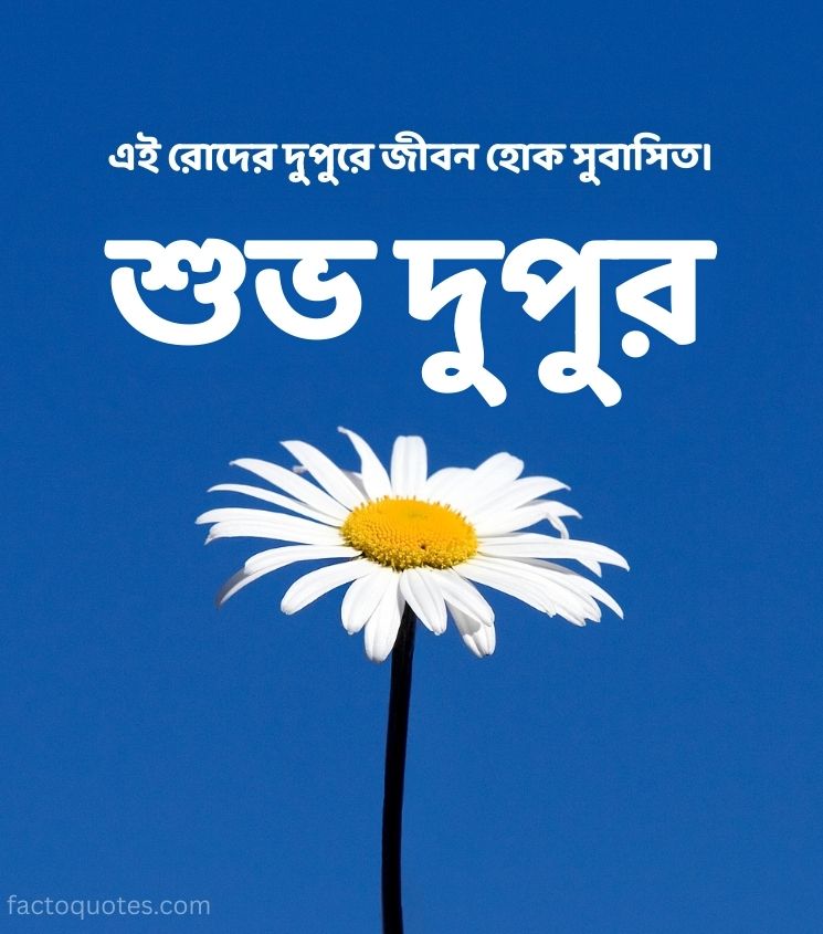 Bangla Good Afternoon Images with Flower