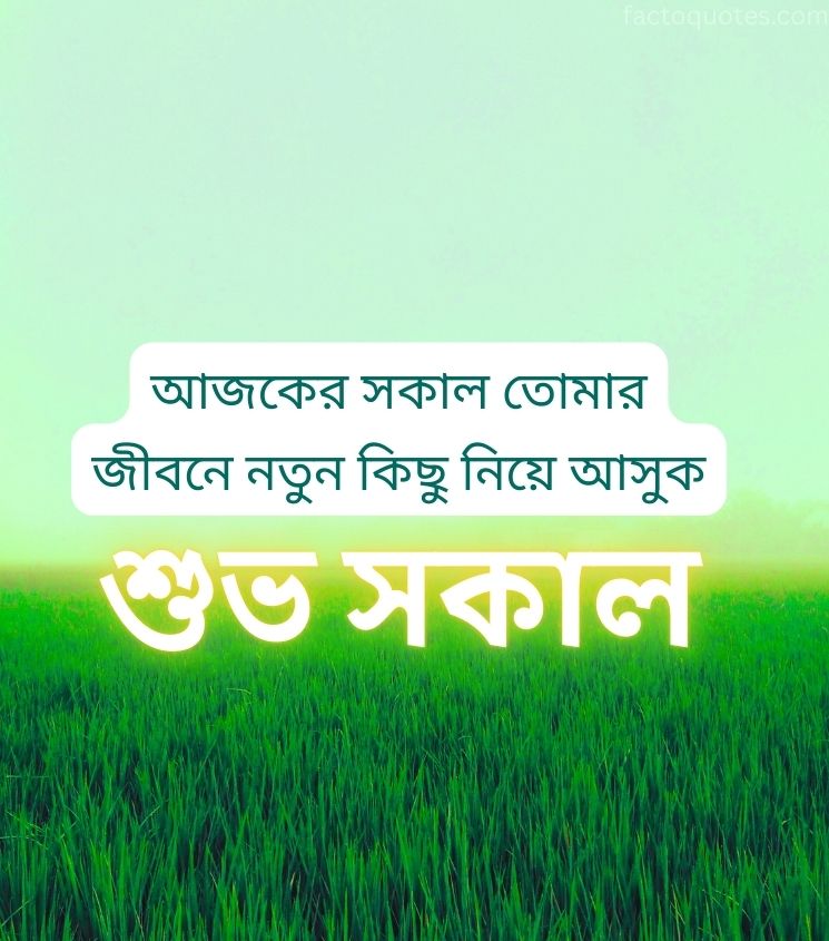 Bengali Subho Sokal Status