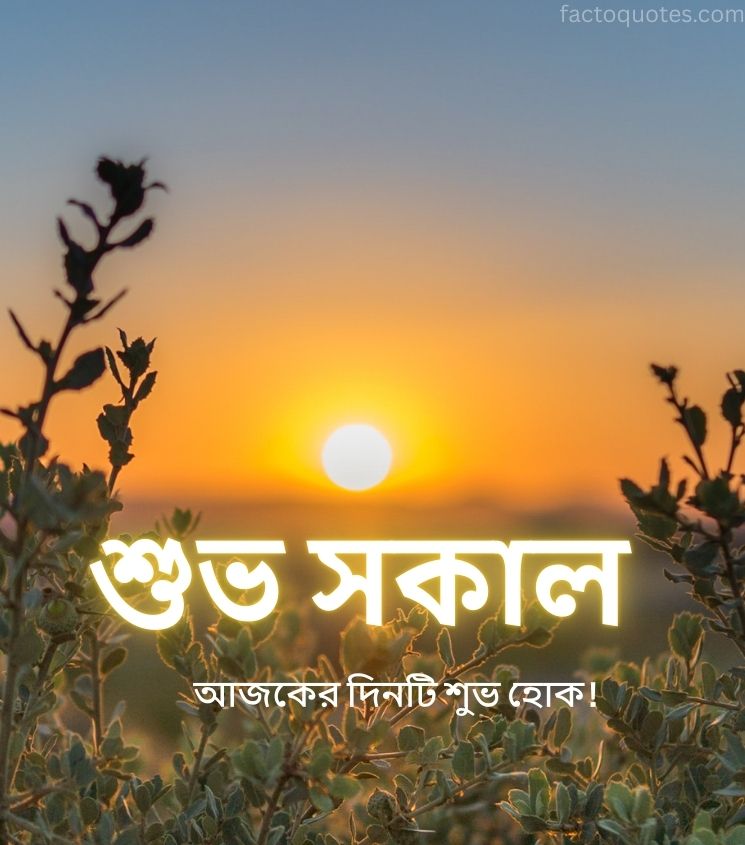 Bengali Subho Sokal with sunrise