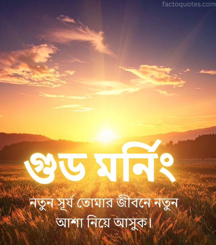 Good Morning Bangla Pics