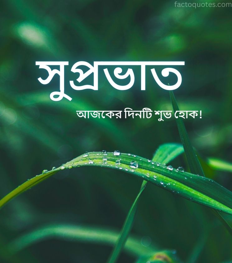 Bengali Suprabhat Images for Status