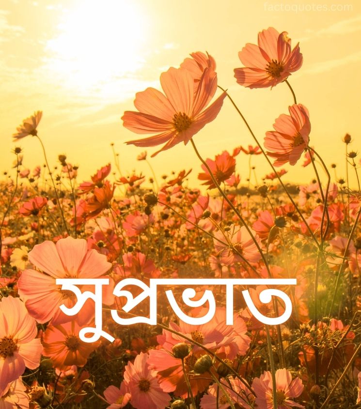 Subho Sokal Greetings in Bengali with flowers