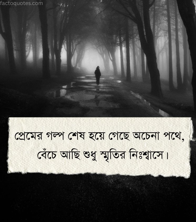 2 Line Bangla Shayari for Sad Lovers