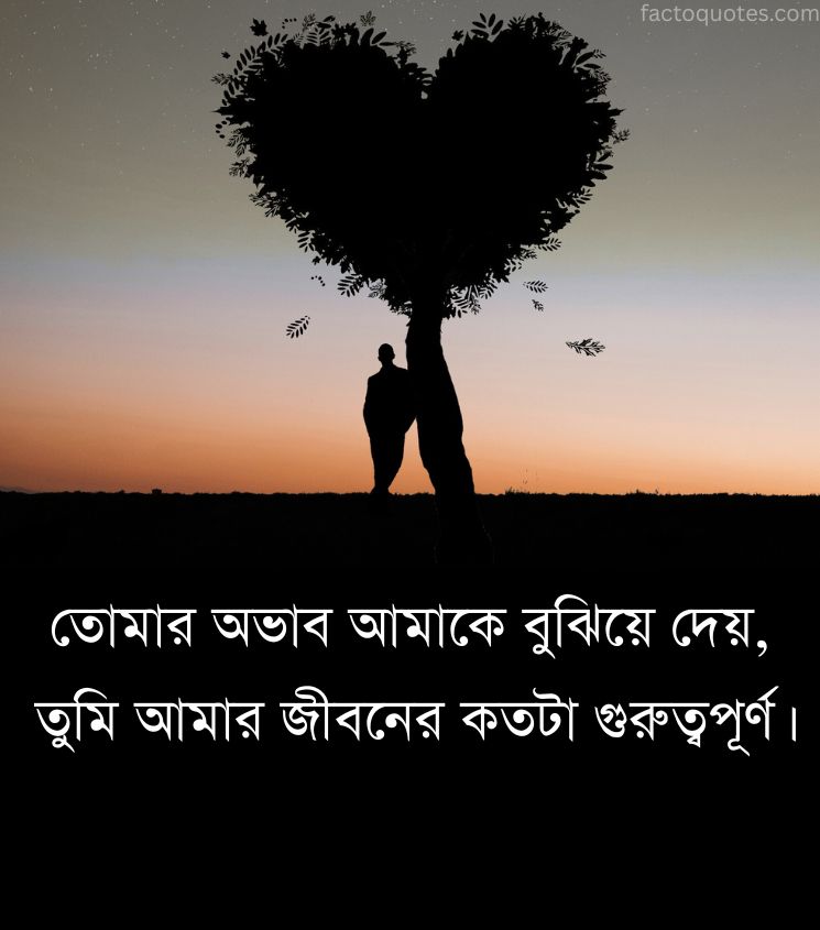 Bengali Status for Long Distance Lovers