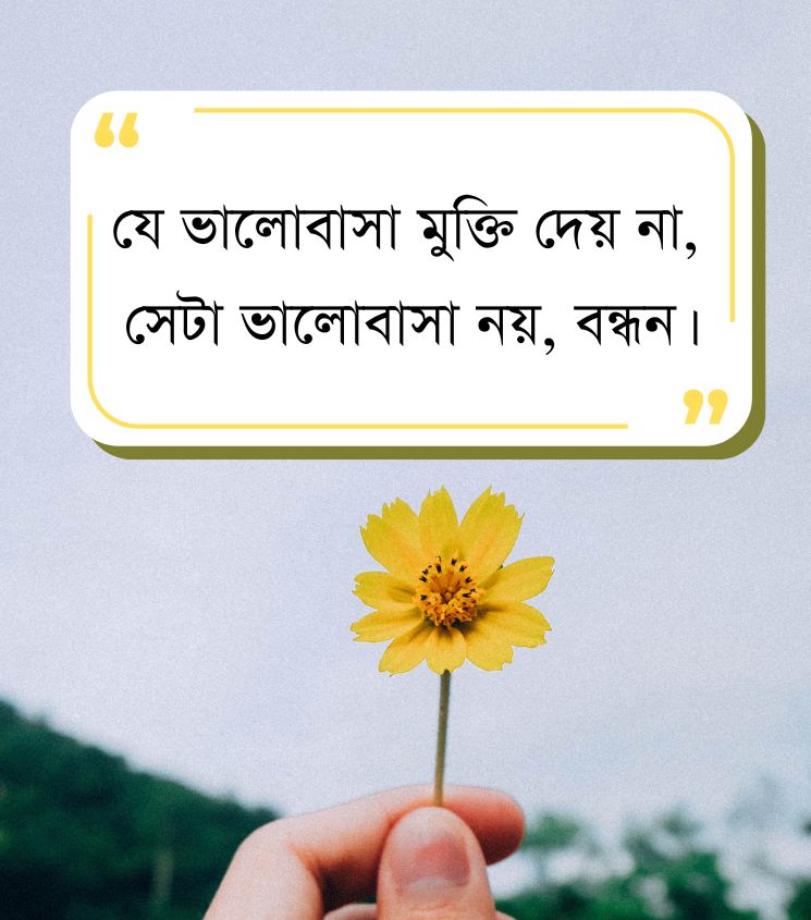 Bangla Sad Relationship Status in 2 Lines