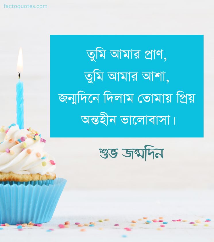 Birthday Shayari in Bengali