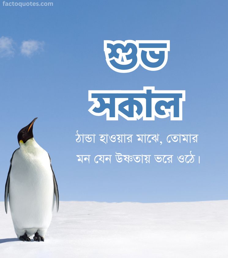 Winter Good Morning Wishes in Bengali for Status