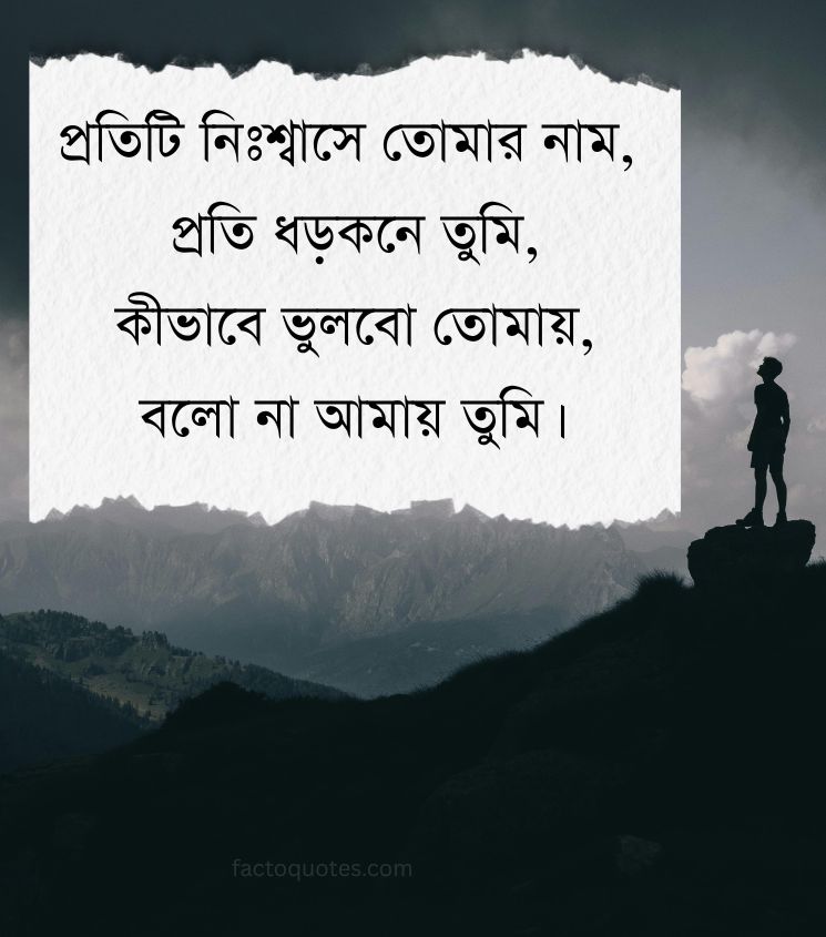 Shayari for Sad Lovers Bengali Images