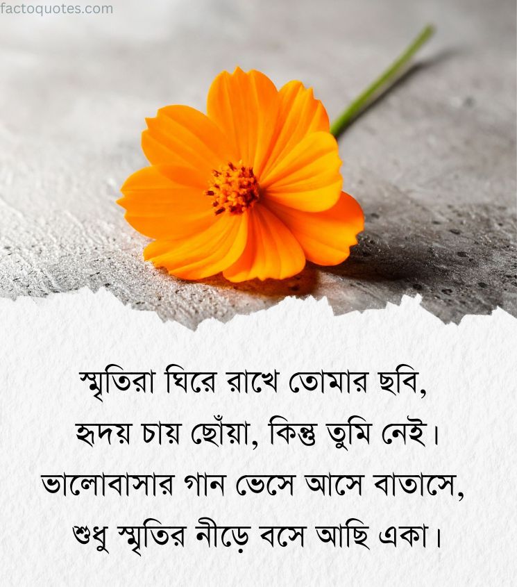 Sad Shayari Bengali Images