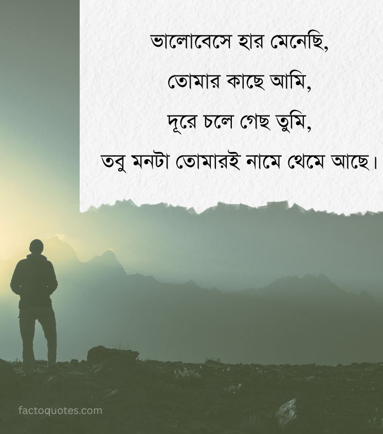 Bengali Shayari Status on Sad Lover