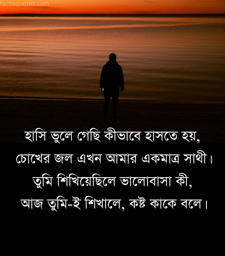 Bengali Shayari Status Sad