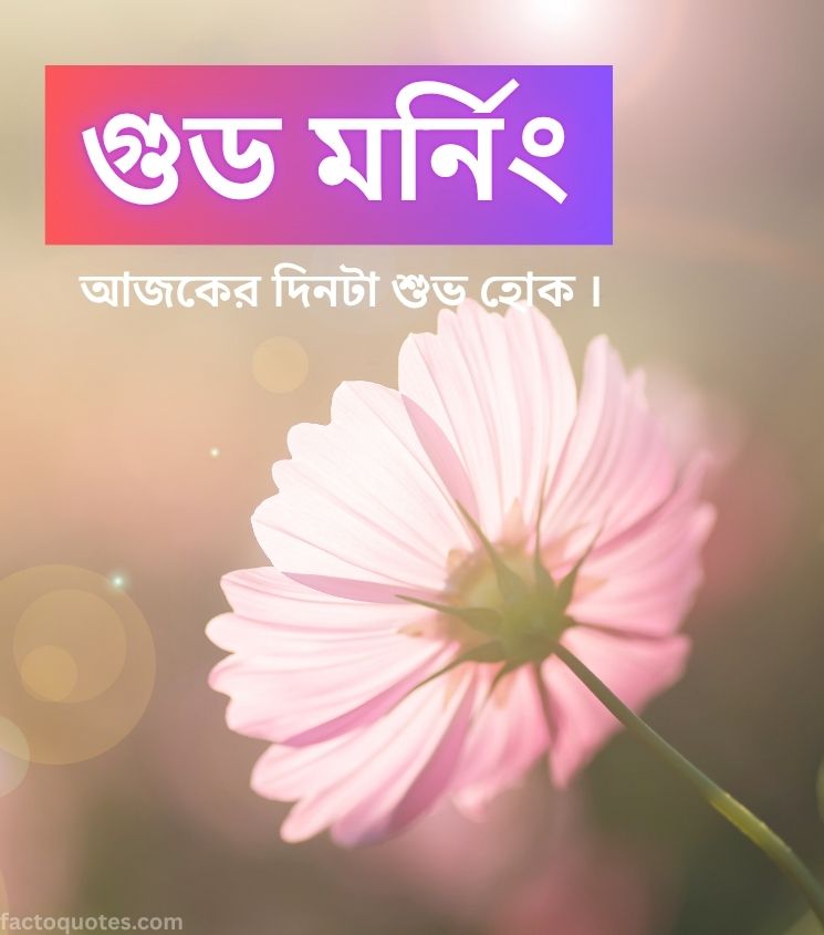 Good Morning Wishes in Bengali with Flowers
