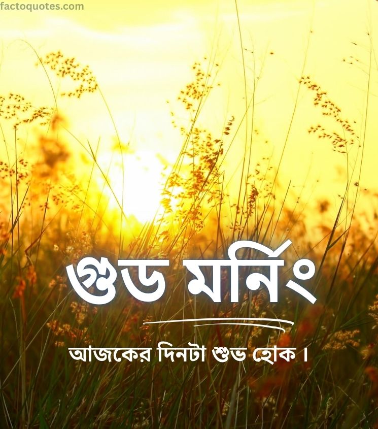Bengali Good Morning Pics for Status