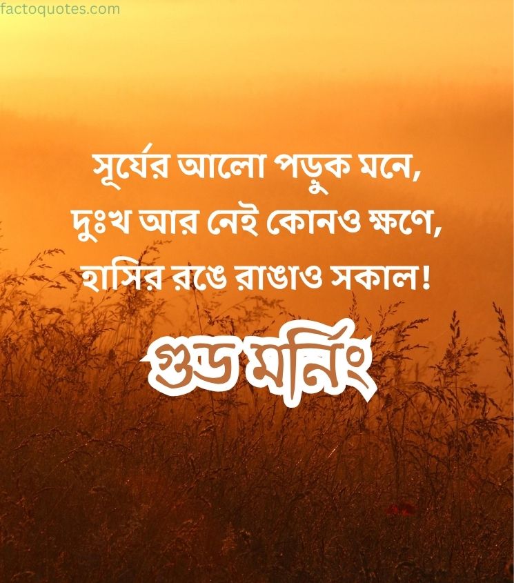 Good Morning Shayari in Bengali for Friends