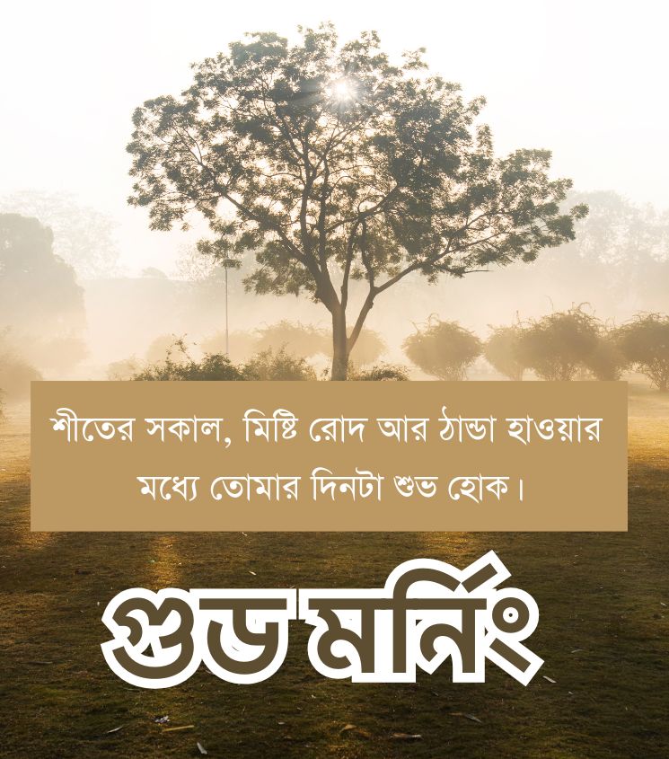 Winter Good Morning Quotes in Bengali