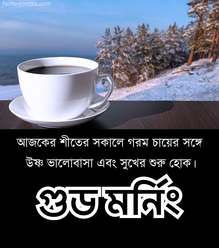 Winter Season Good Morning Wishes in Bengali with Tea