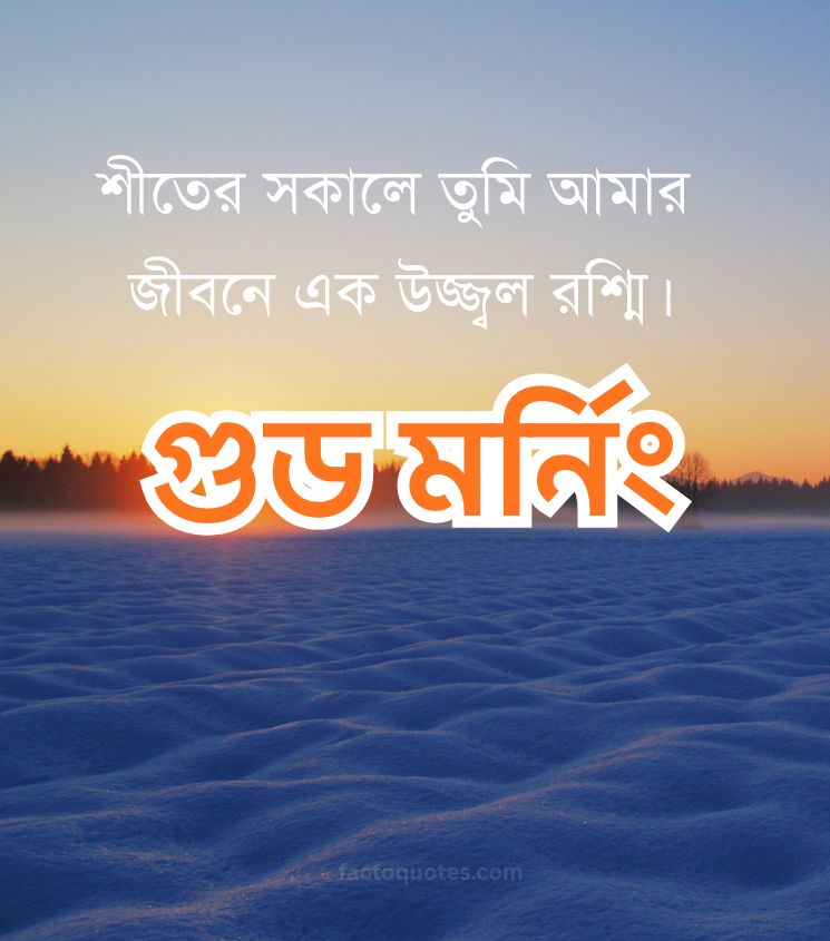 Winter Season Good Morning Wishes Images in Bengali