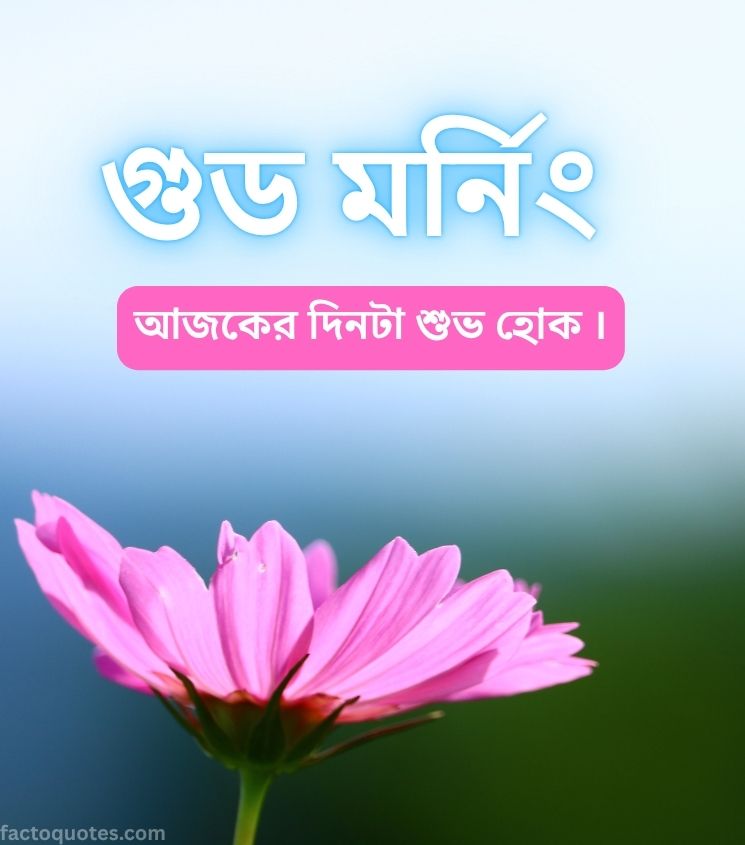 Good Morning in Bengali with Flowers