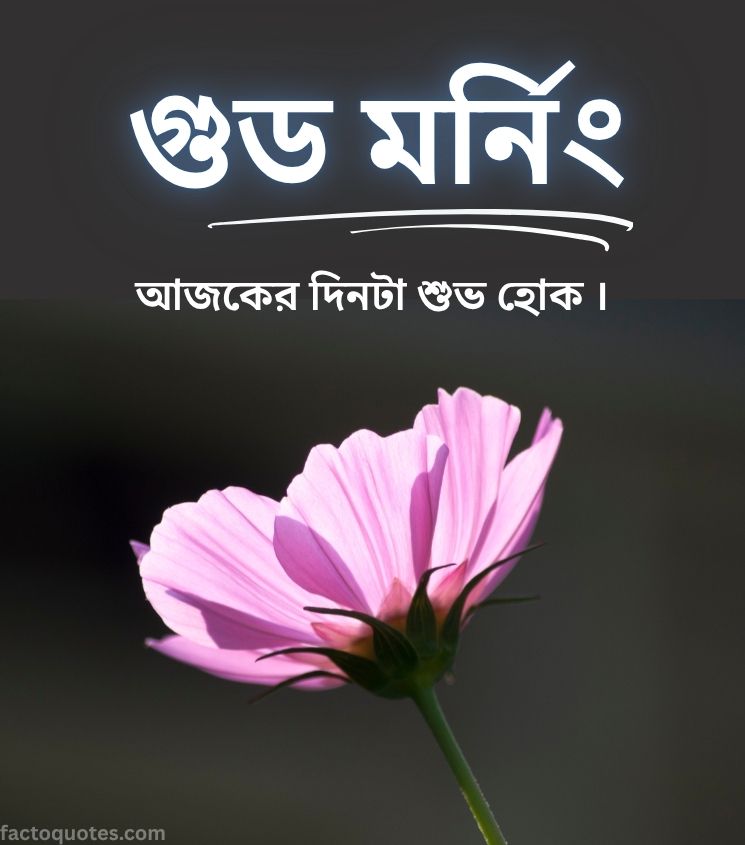 Flowers with Good Morning Wishes in Bangla