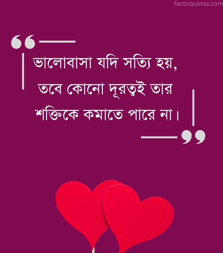 Bengali Status on Long Distance Lover