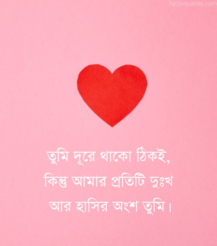 Bengali Status on Long Distance Love