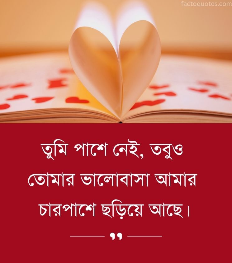 Bengali Status for Long Distance Love