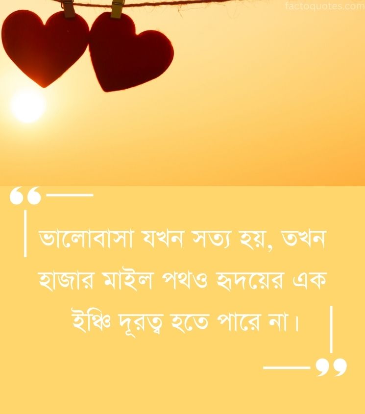 Long Distance Love Quotes in Bengali for Status