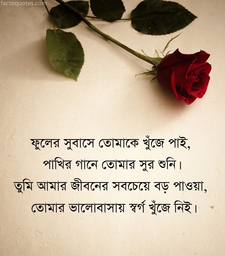 Romantic Love Shayari in Bengali for Her with Rose