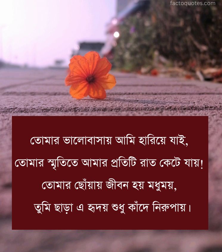 Love Shayari in Bengali for boyfriend