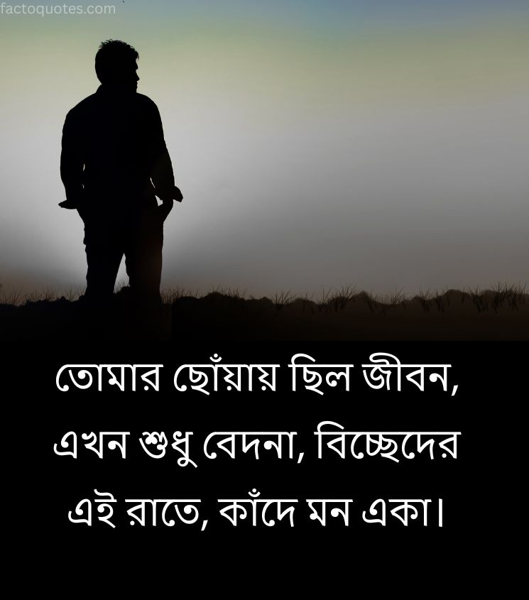 Breakup Status in Bengali for Alone Lover
