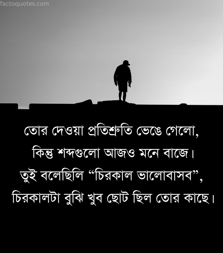 Sad Shayari in Bengali for Status
