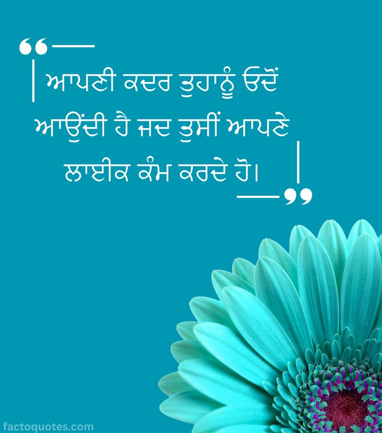 Quotes on Life in Punjabi
