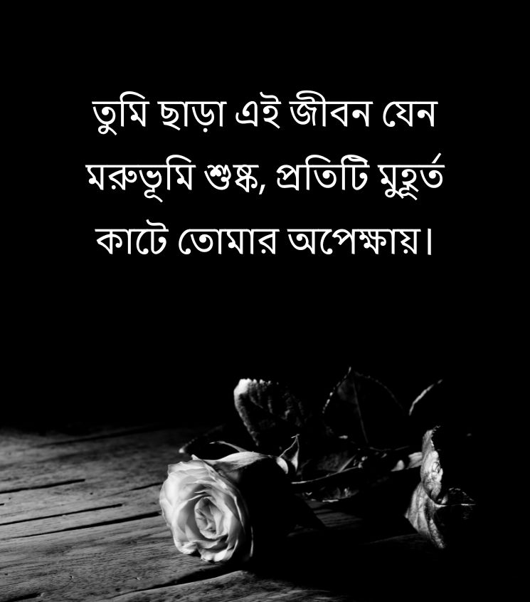 Breakup Shayari Bengali Language for Status