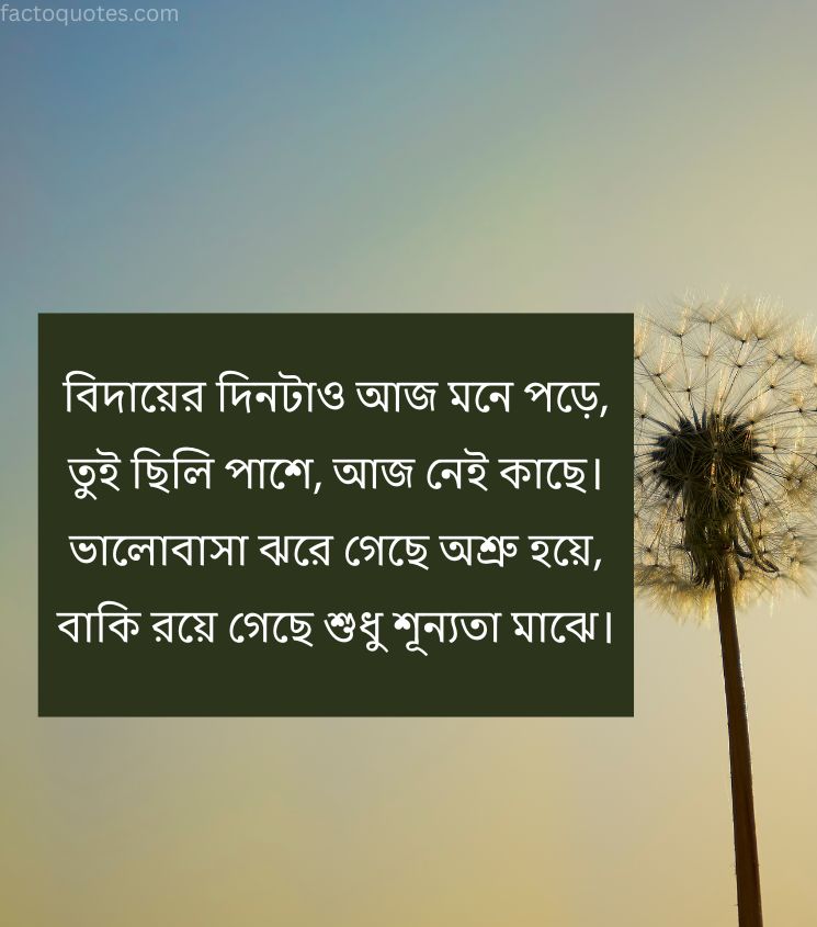 Sad Breakup Lines in Bengali