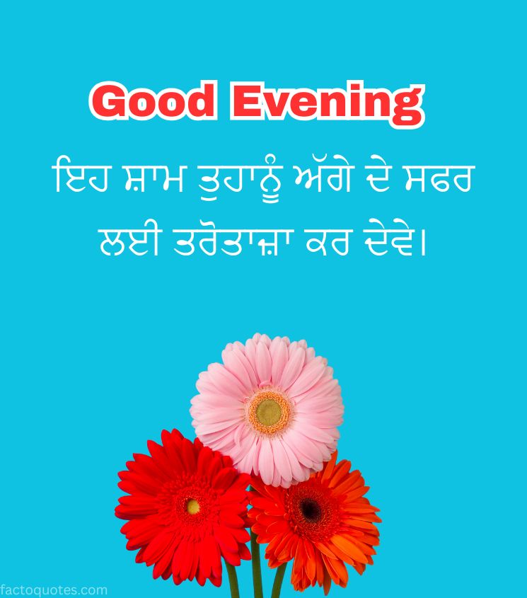 Punjabi Good Evening Flower Images for Status